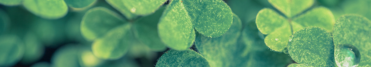 カイロプラクティックとは